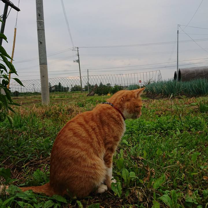 608cc63a c477 496b 8a48 b89b2458a574 1569101679308