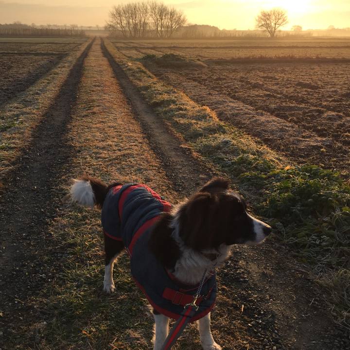 608cc66f 4c13 496b 9c3e fa4862fc3afa 1516057167543