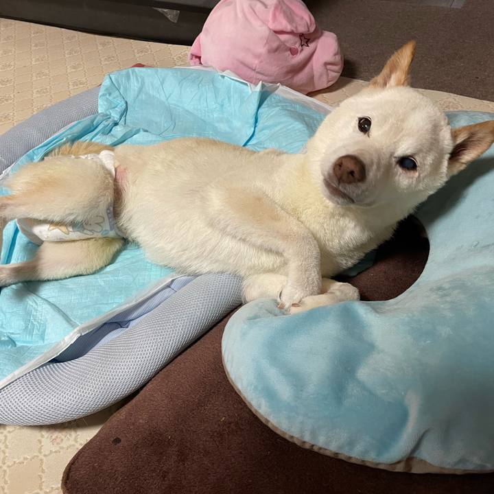 608ccab2 0a59 4594 aa66 dc97c5d1a31e 1663562110282