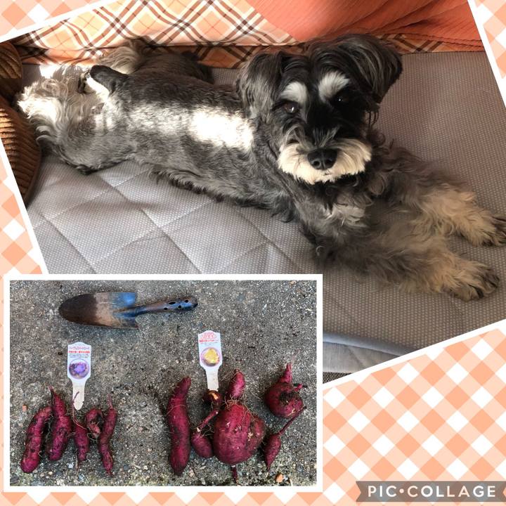 608ccdc5 77e4 4ed2 8340 6ac5f365b9aa 1699164613884