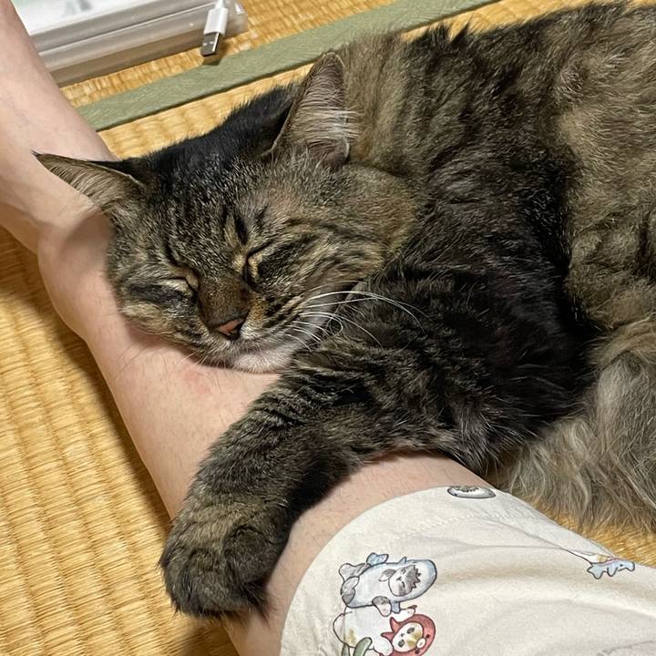 608cdd6f f153 45b4 8c26 be774d49ff02 1759842333421