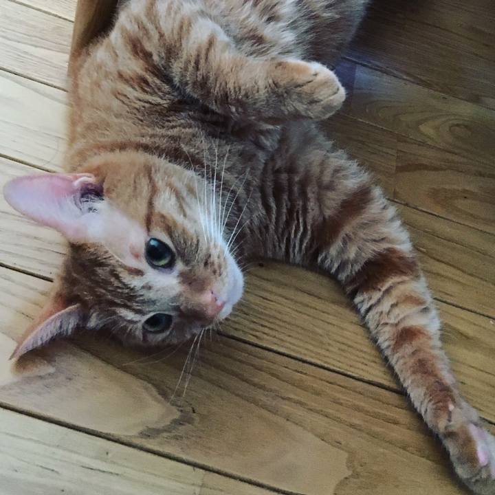 608ce481 9e87 412c b051 efb61c8e195a 1534592223570