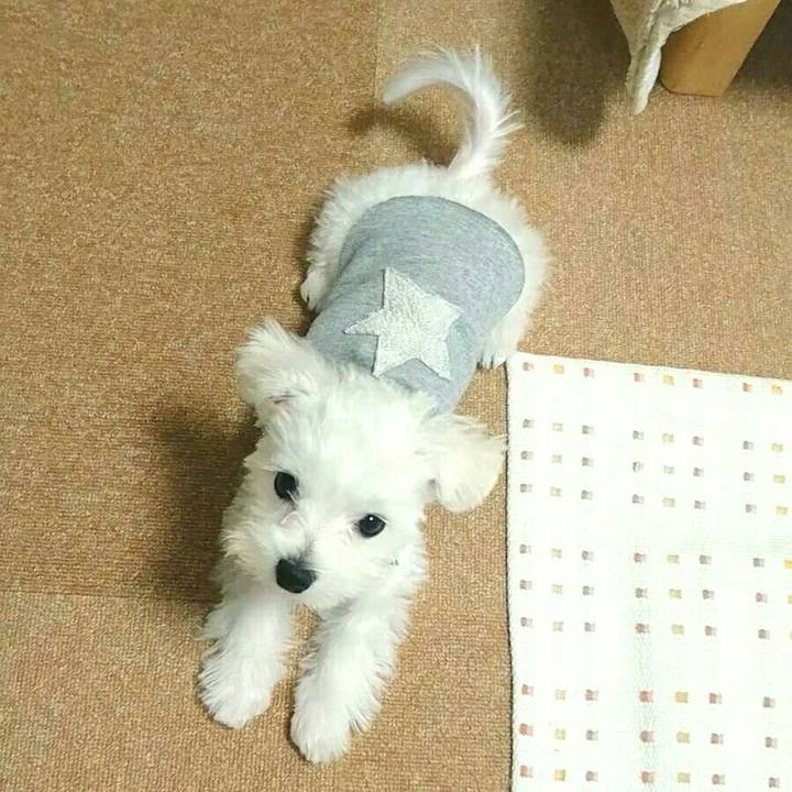 608cef6e ec41 4703 9f1b fc5551f59dae 1508401862238