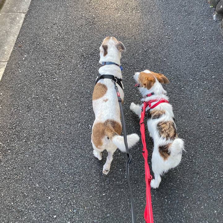 608cfb38 a8f1 43c1 8ee4 4fd3ee4c7ecb 1627081234340