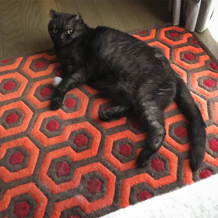 608d6840 46e3 4a8d a4a8 6b4d8df3de9c 1565571776272