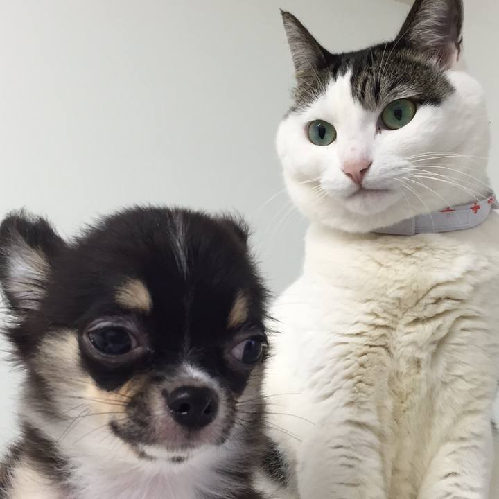 608d6876 a9b3 4e23 9fcf 9fd564583fa2 1508637272666