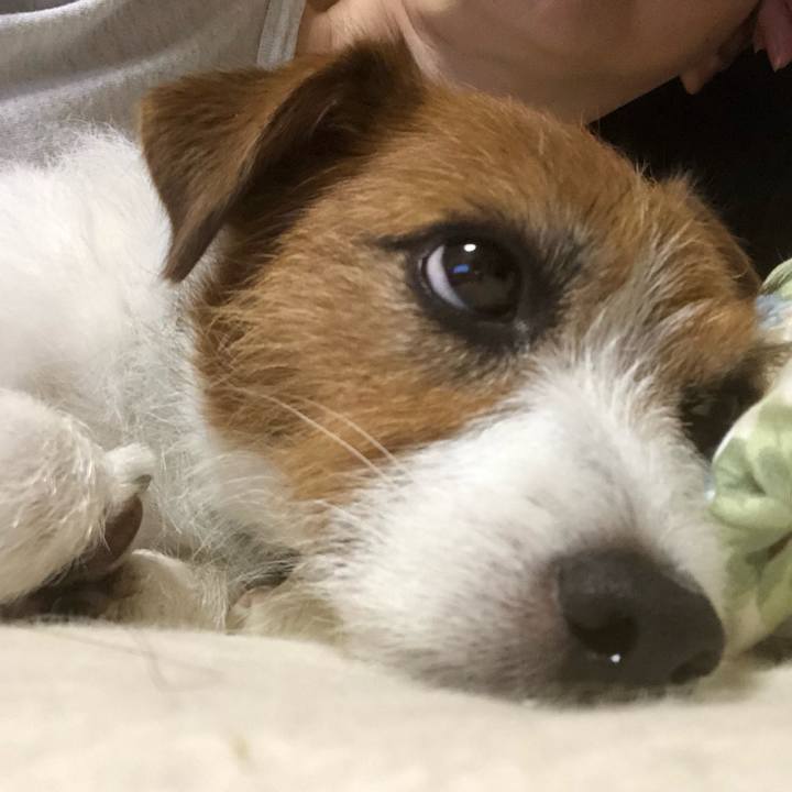 608d7963 8b99 4d7a abac 27e3572380f9 1559734222659