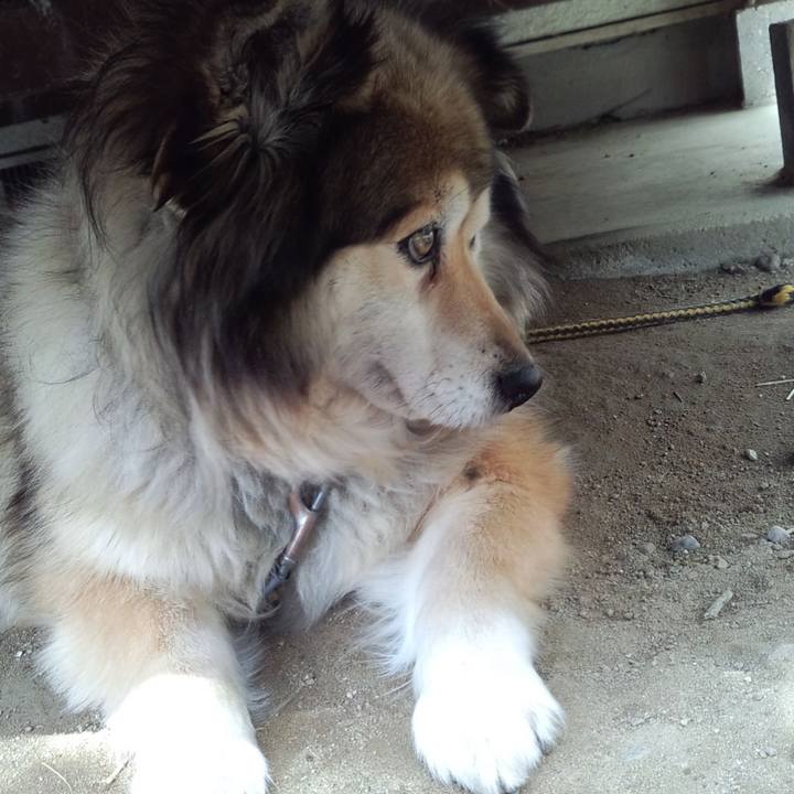 608da0a7 3f3e 4b8e ac57 cb5df69116a6 1572222141799