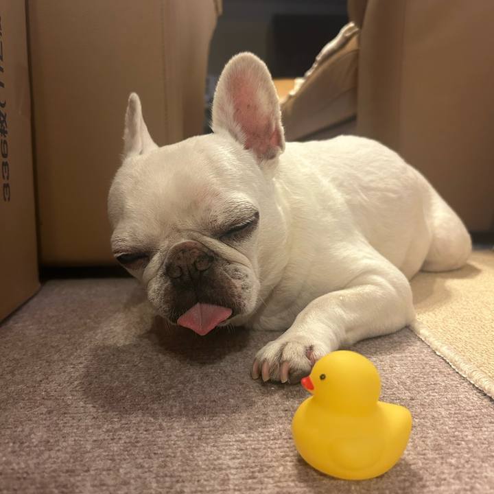 608daf80 87aa 4248 b637 0c8b8ffe31ee 1753089559250