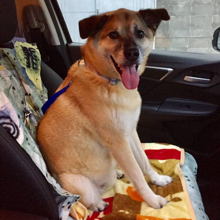 608df920 972d 4289 ac76 6bbfa506b953 1526727021203