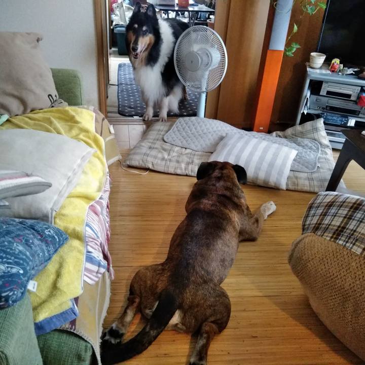 608e0f90 81d2 4d24 b50e 04659885247c 1566910862561