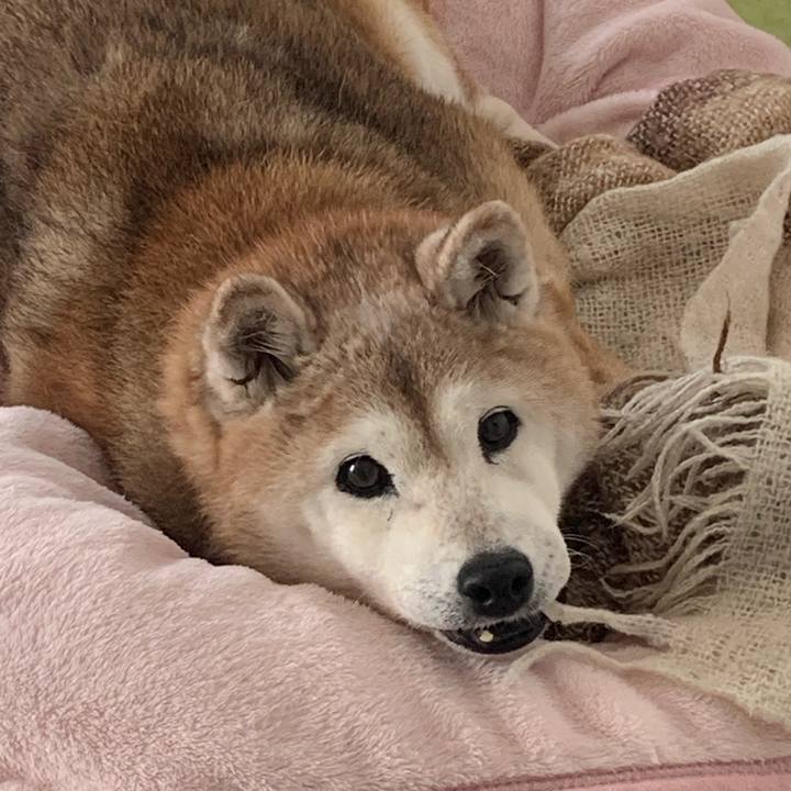 608e2a47 6071 416e 8fb8 7ce58566b6bd 1677565106508