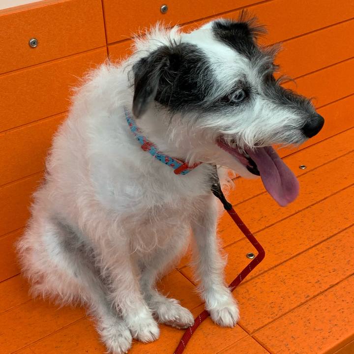 608e325b 7bbd 47cb a2c2 011ffb8e96a0 1611614523053