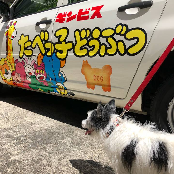 608e3c25 99d0 41f3 9660 8c924c02cea4 1525434949462