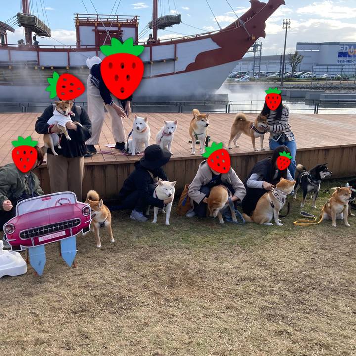 608e5452 3c9d 4737 b592 a8c621225621 1762170960569