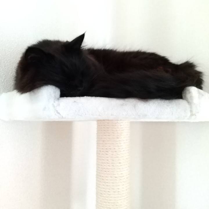 608e650b a8bc 4e88 b675 c80e683d30ea 1582502657186