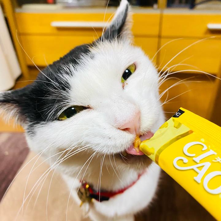 608e6daa c9f7 4de8 bcaa 2fd644b5d0f8 1715259279924