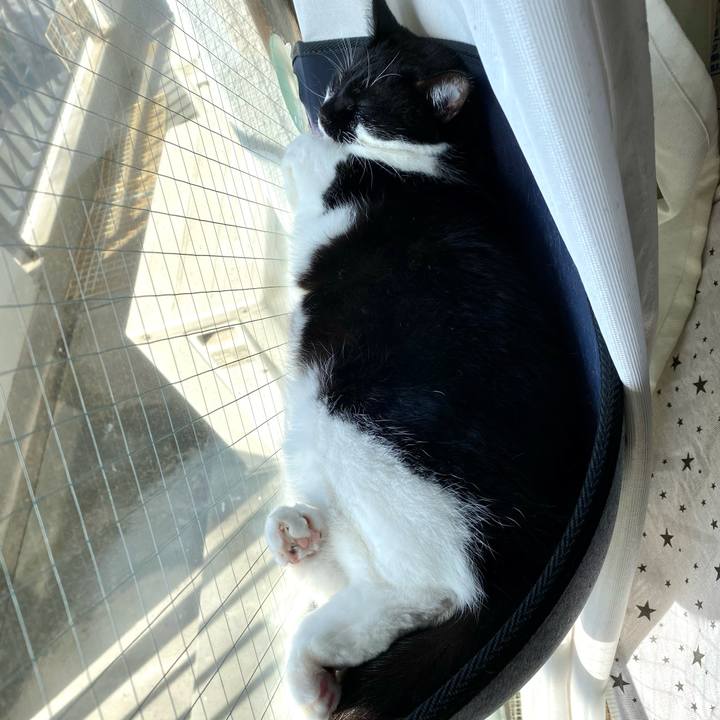 608e804e 5f81 4686 a6ec 7a70cc8d8b86 1637221327542