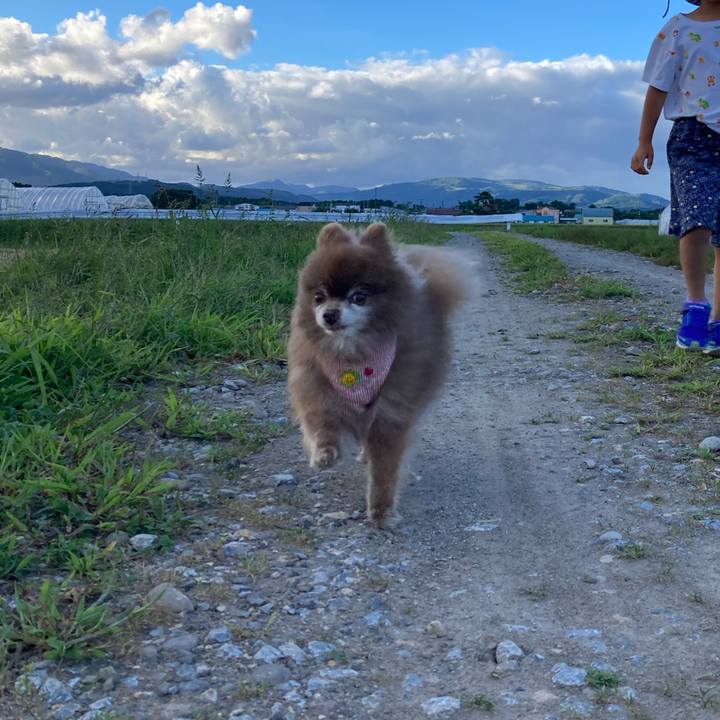 608ed2d9 1e28 40d2 9518 85472c2fdebb 1661727987092