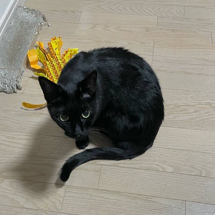 608ed533 afaa 4c12 9619 407bbfa58a9c 1698238389973