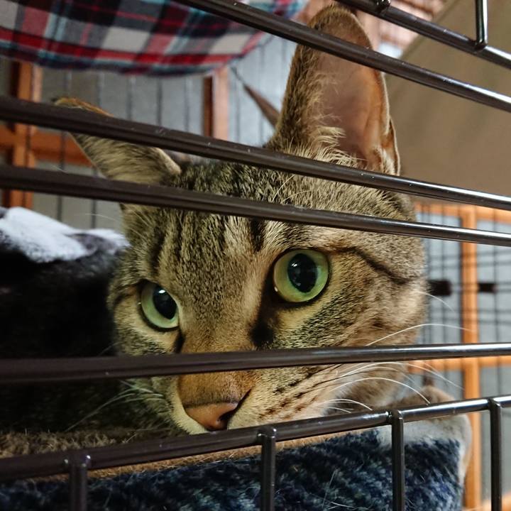 608ee347 8b6e 4d4b b69b 775c1c50ef34 1585581398456