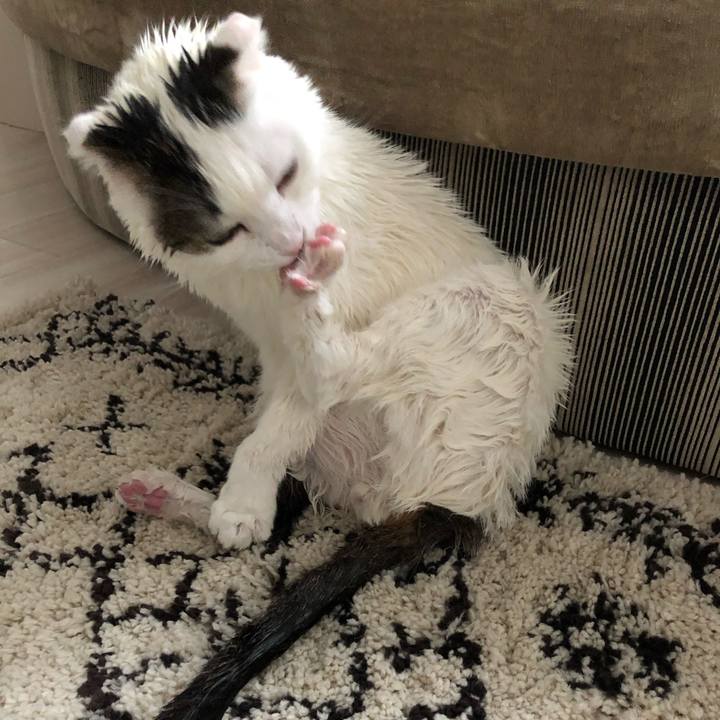 608f0c13 304c 47b8 853e f00cae8a1c32 1556695188190