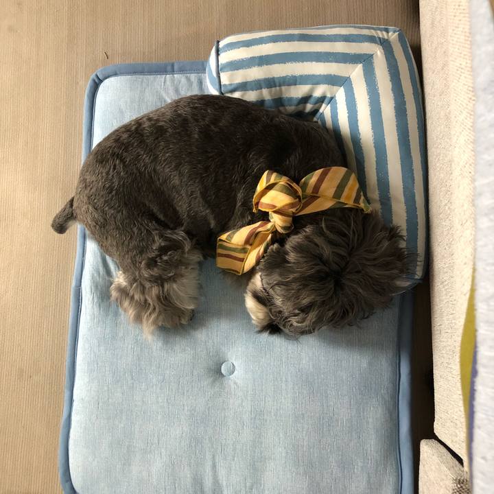 608f47ce f2af 448f 993e 640a844cb29c 1657952722224