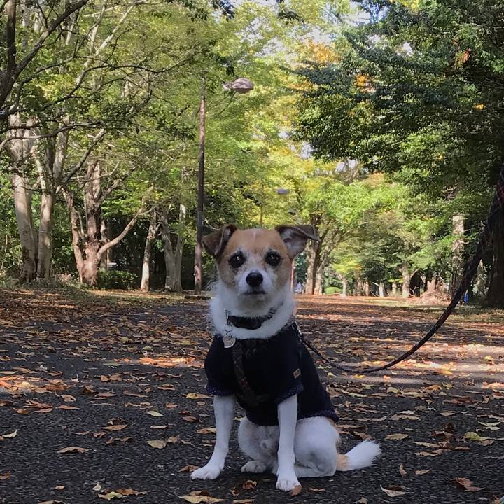 608f4b84 3bd2 4c41 a06c 2ce995e03703 1572848523441