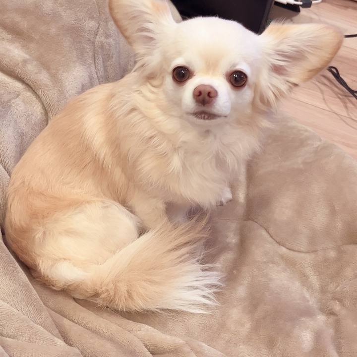 608f5536 fda6 473d b54c bbdce54a4ced 1735389891106