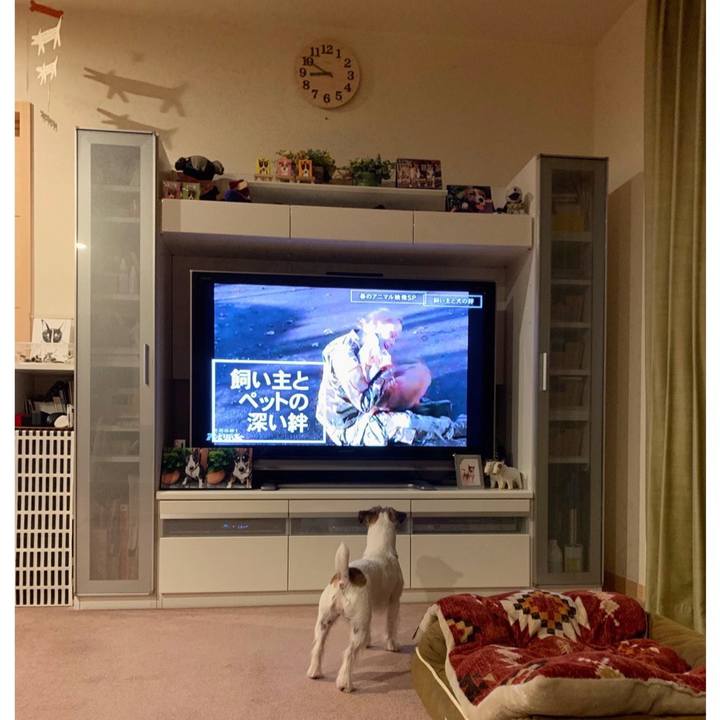 608f5d9a 4ec0 4a8a 8413 6cc583f3ce1e 1587654694747