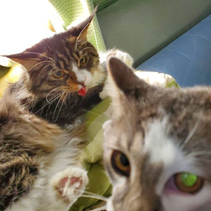 608f94c5 c735 4ff4 8fa2 1aa3befca05e 1674087242447