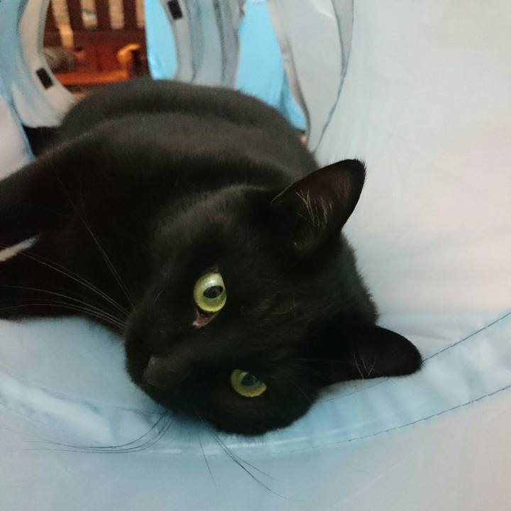 608faa6f c734 4cf4 a1e1 683595d47a74 1530510921310