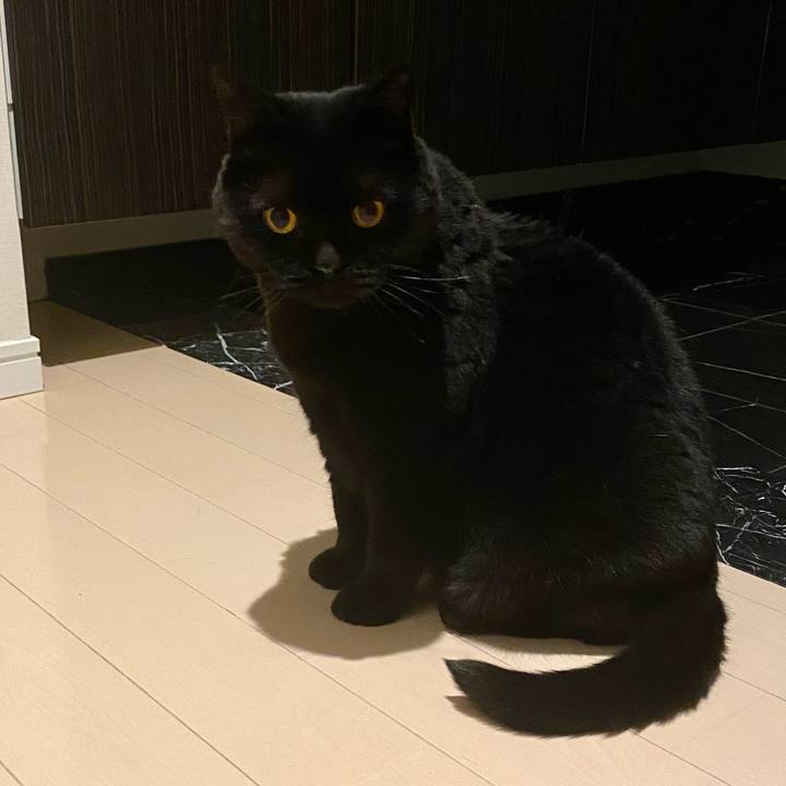 608fafaf 9791 4616 bbf2 c2813c0a50f9 1748089191834