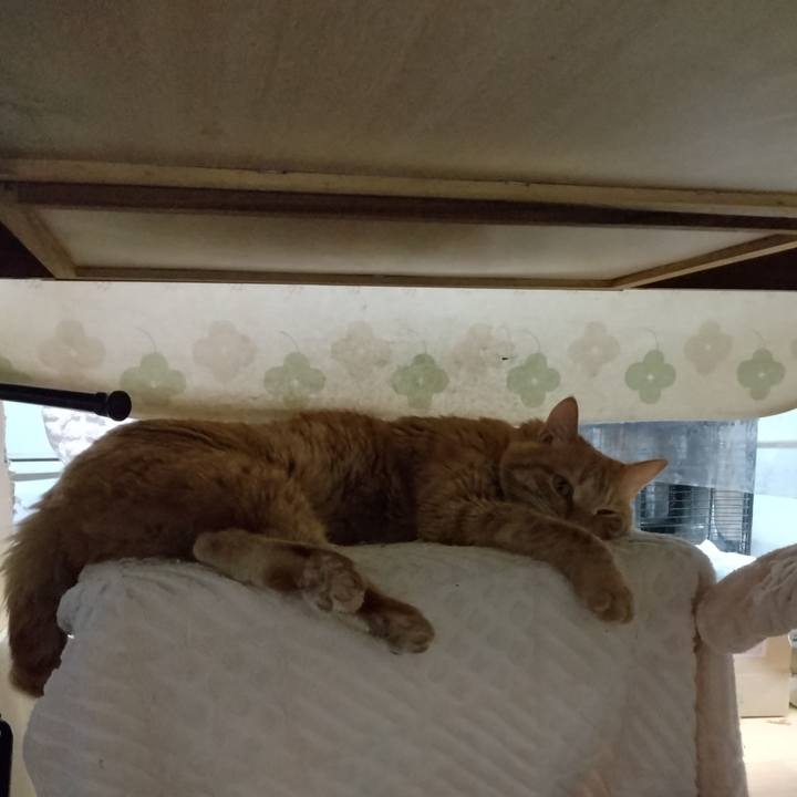 608fbb89 c3ec 4fe3 8b8e 95523f267d5a 1672739533254