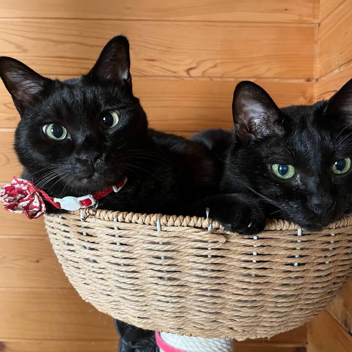 608fc395 2f68 4616 b0dd e7eaaac9b6d4 1758621450087