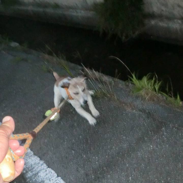 60901616 70b4 40ab 84f0 26f155590b96 1568888396998