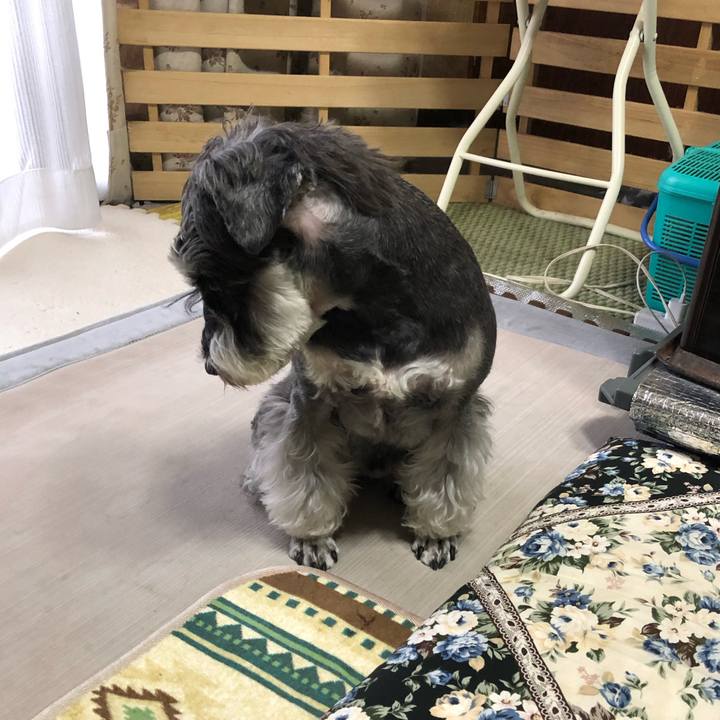 60901ae4 a9af 465c 9045 b7757c70fd6a 1647220672074