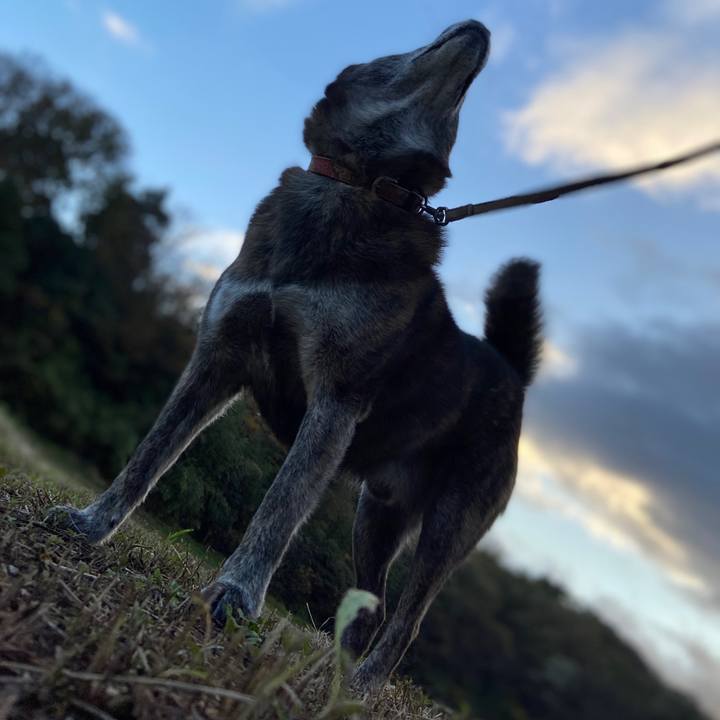 609038d4 9ff5 4888 95c7 66aad6c04509 1604874374338