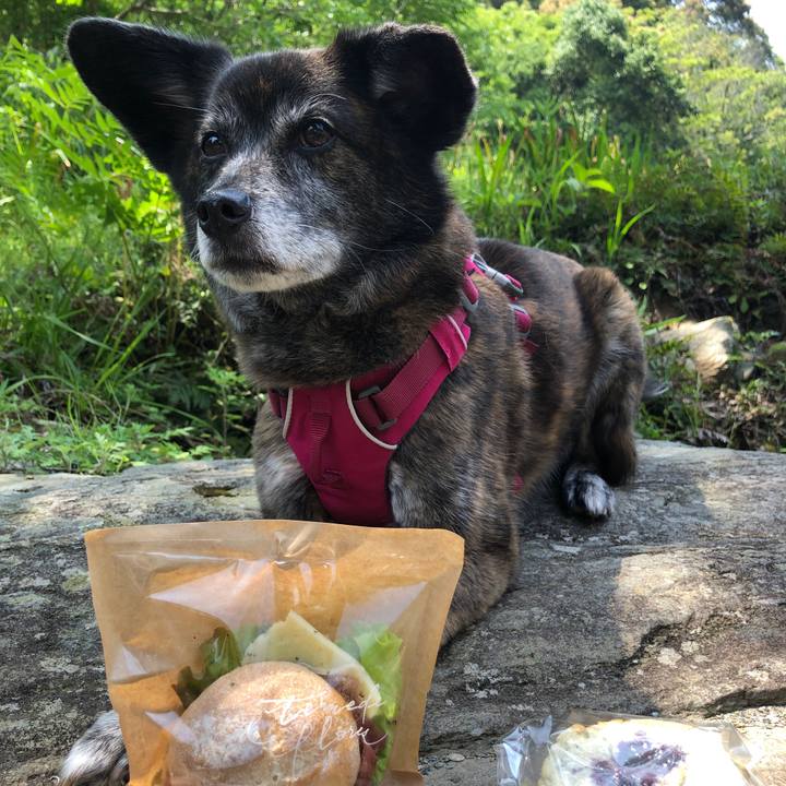 60904926 a149 47a4 afa9 efdaf3318c00 1651677465606