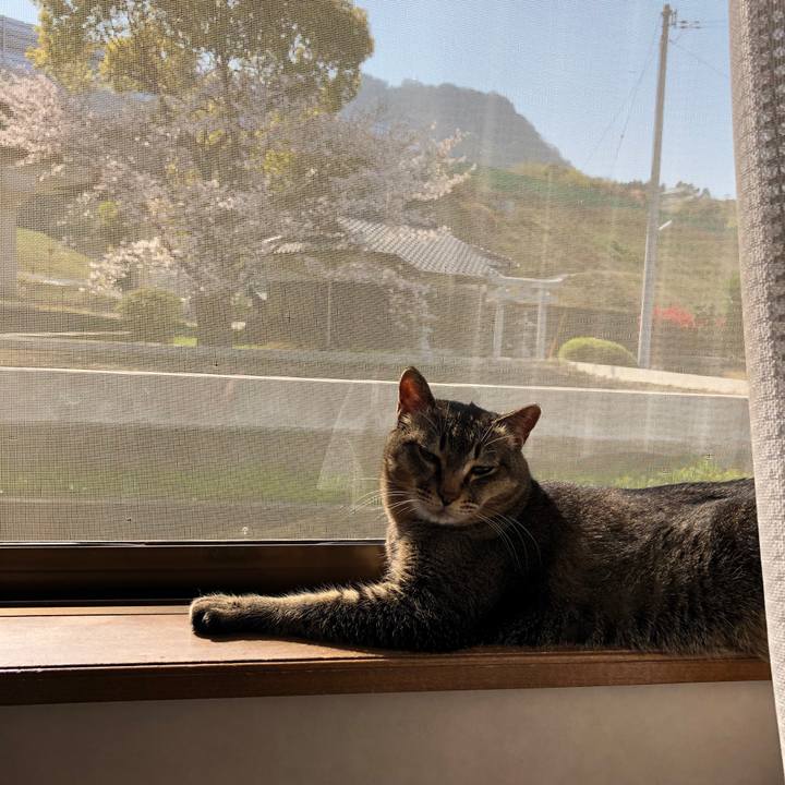 60907b87 f097 4b27 8f7a f5b82e7610cd 1585980862336