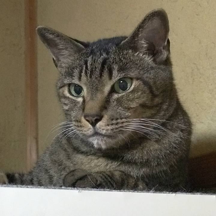 60911f1f dcda 4fa6 abac 312da897069a 1535673461851