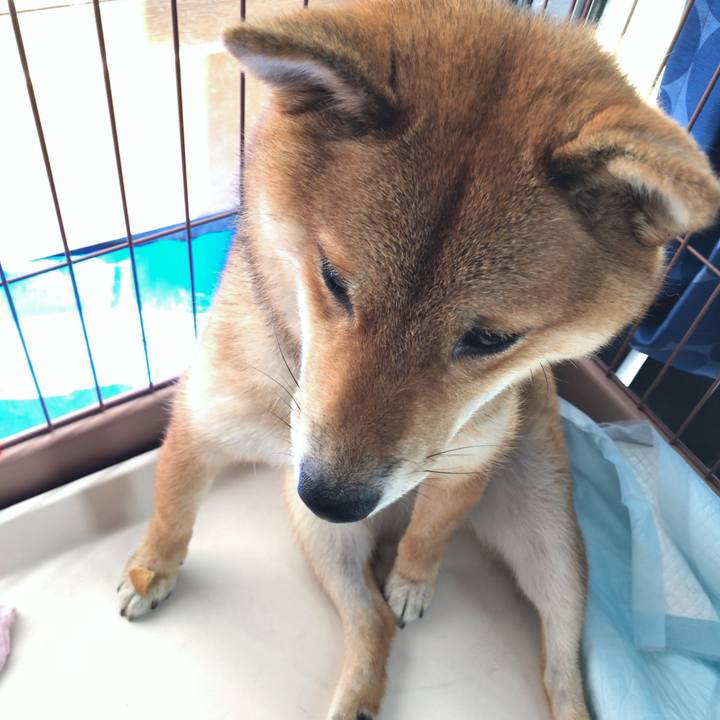 6091bf8b b654 4a05 9253 2b11f0420069 1532300463648