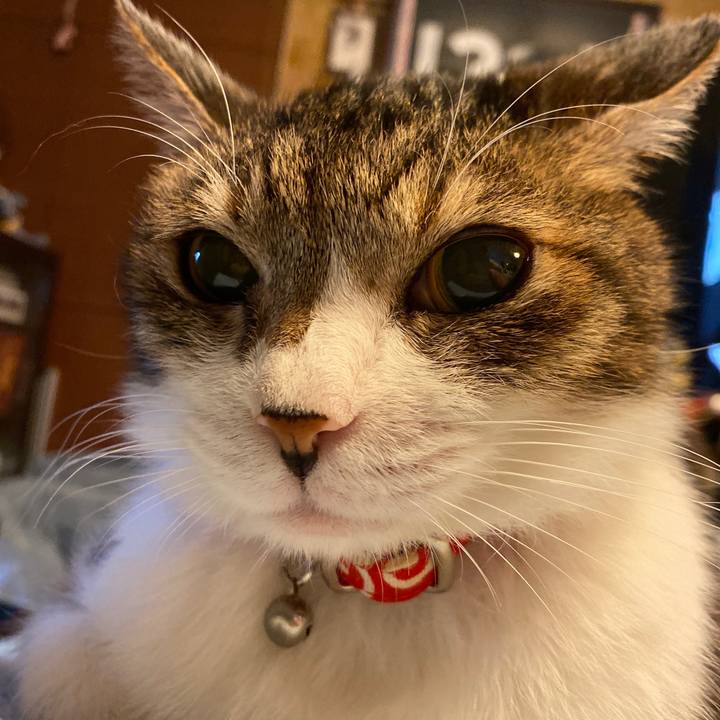 6091dd58 2033 4fa8 98f8 8f36f65fd836 1573298666092