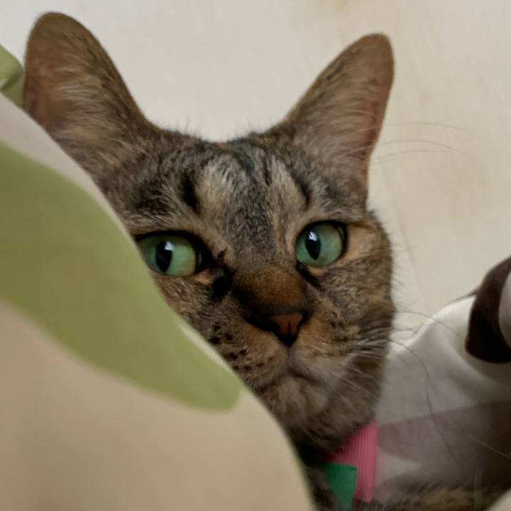 60920328 2f5f 4cd4 88aa a45c3dfc13c6 1615531103422