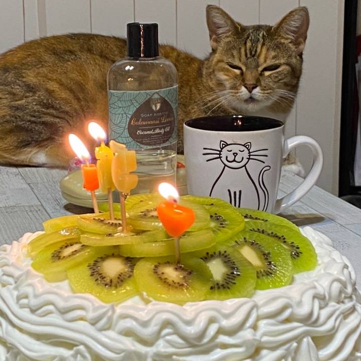 60920b48 b33a 48ab 95fe f452c8564b22 1627922990652