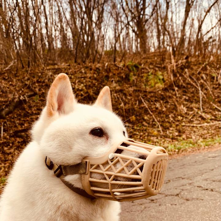 609259d4 096f 482e 9897 b8f8f7cc5118 1606283312375