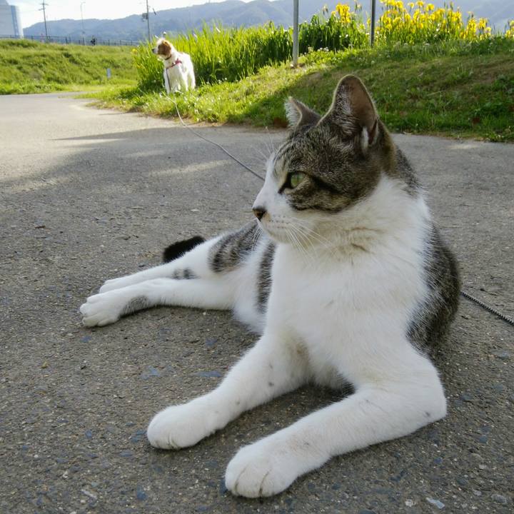 609268fe 0c72 4b35 8eb7 c9b4666a2290 1558313558033