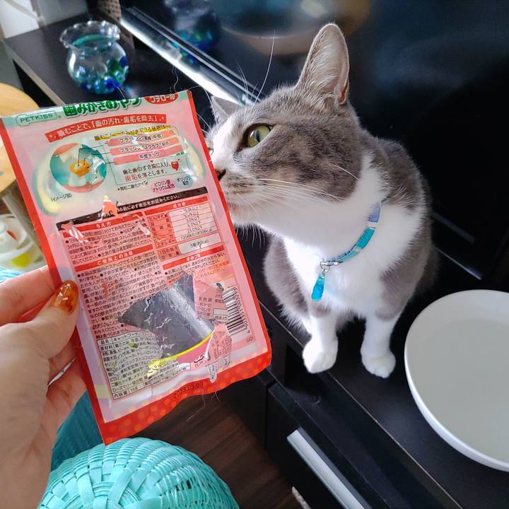 6092875a 026e 4d2b 948a 20bf49398568 1662260454640