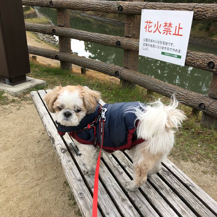 60930ad5 8b02 464e 8a0b f1de1c3db91d 1547070913932