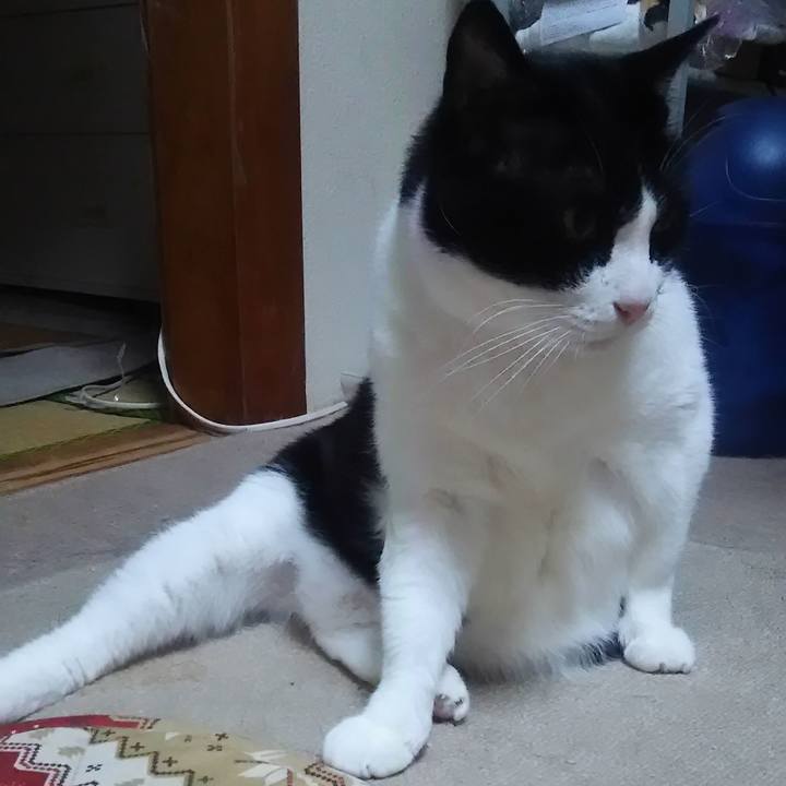 6093125e ab52 4d66 958d 9810ce66101f 1525520670033